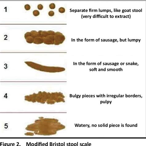 what does a stool test mean